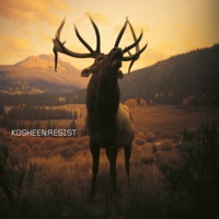 Kosheen - suicide