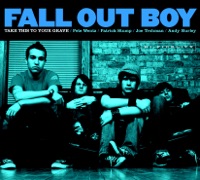 Fall Out Boy - love from the other side