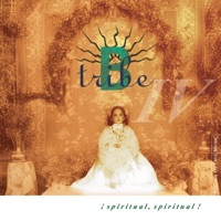 B-Tribe - sin alegria
