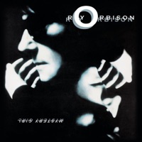 Roy Orbison - love hurts