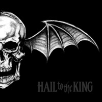 Avenged Sevenfold - nobody