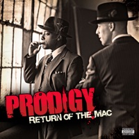 Prodigy - spitfire