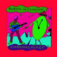 Robyn Hitchcock - it was the night