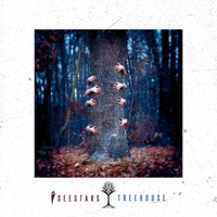 I See Stars - running with scissors