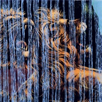 Julian Lynch - garden 3