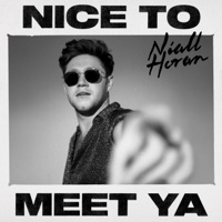 Niall Horan - meltdown