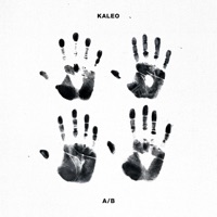 Kaleo - way down we go (acoustic version)
