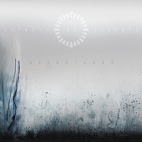 Animals as Leaders - inamorata