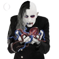 A Perfect Circle - pet