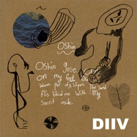 Dive - vicious bitch