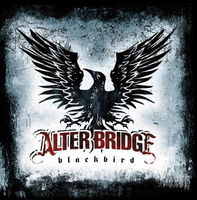 Alter Bridge - rise today