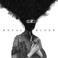 Royal Blood - mountains at midnight