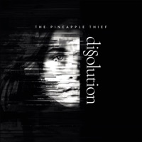The Pineapple Thief - build a world (dirty hifi remix)