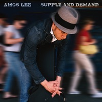 Amos Lee - violin