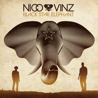 Nico & Vinz - am i wrong (radio edit).mp3