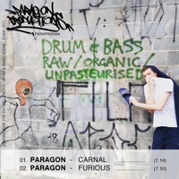 Paragon - tears of the damne