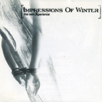 Impressions of Winter - shadowed grove