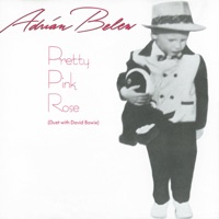 Adrian Belew - bad days