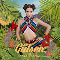 Gülşen - of of (house remix)