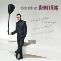 Ahmet Koç - another day in paradise