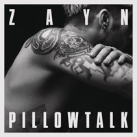 Zayn - i don't wanna live forever (acoustic version)