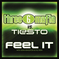 Tiësto - the business (nick havsen rmx)