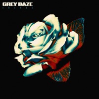 Grey Daze - saturation (strange love)