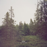 Gidge - huldra