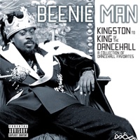 Beenie Man - black liberty