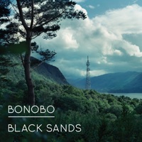 Bonobo - kota