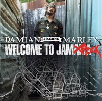 Stephen Marley - no cigarette smoking (in my room) (feat melanie fiona)