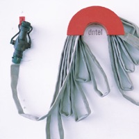Dntel - suddenly is sooner than you think