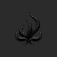 Bury Tomorrow - begin again