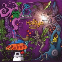Haltya - borboleta purpura