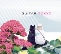 Guitar - flowers look up into the sky