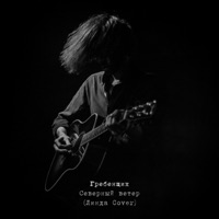 Гребенщик - в облаках
