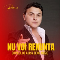 Copilul De Aur - cand sunt sarac