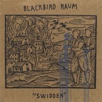 Blackbird Raum - disfigured isolation