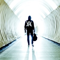 Alan Walker - heart over mind