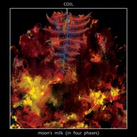 Coil - windowpane