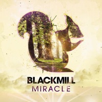 Blackmill - embrace