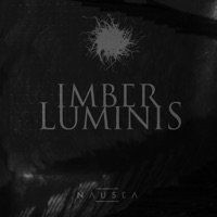 Imber Luminis - i can hear the birds crying (piano version)