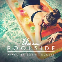 D-Pulse - na nebe ptica