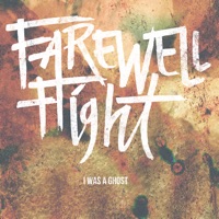 Farewell Flight - america will break your heart