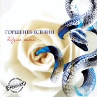 Алексей Горшенёв - чёрная невеста (конц. с симф. оркестром)