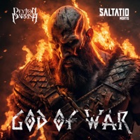 Saltatio Mortis - licht und schatten