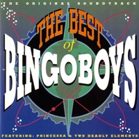 Bingoboys - no communication