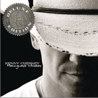 Kenny Chesney - all i want for christmas is a good tan