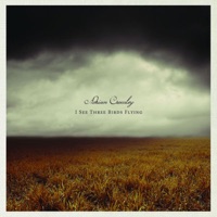 Adrian Crowley - some blue morning