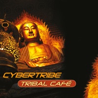 Cybertribe - (that's why we have to come) back to this land